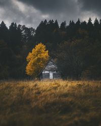 Trees and house on field against sky