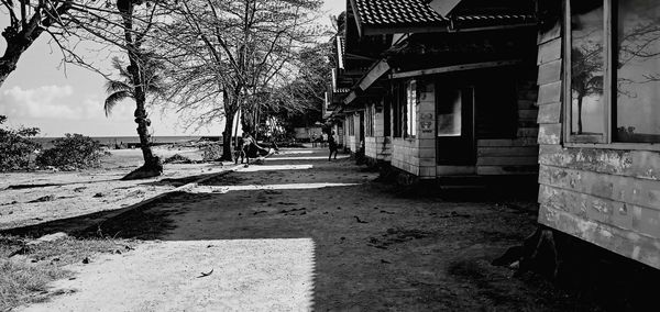 Street amidst buildings and trees in city