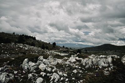 Scenic view of landscape against sky