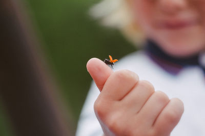 Close-up of hand holding insect