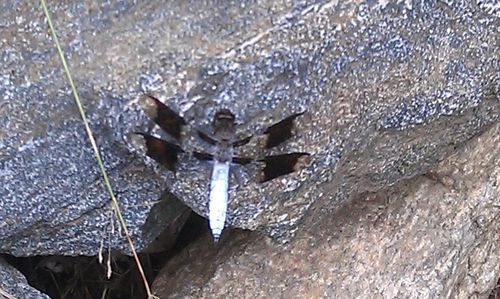 Close-up of water