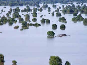 Scenic view of lake