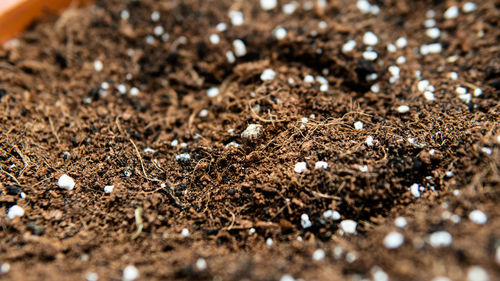 Full frame shot of soil