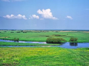 High angle view of biebrza river at swamp against sky