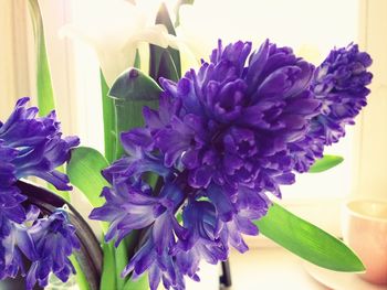 Close-up of flowers in vase