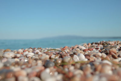 Surface level of pebbles on beach against clear sky