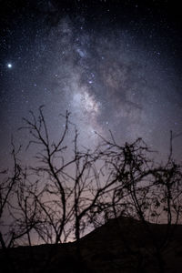 Low angle view of silhouette trees against sky at night