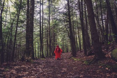 Rear view of woman wearing red raincoat walking by trees in forest