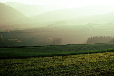 Scenic view of field against sky