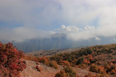 Scenic view of landscape against sky during autumn