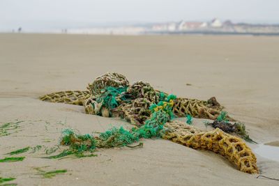 Close-up of abandoned rope on beach