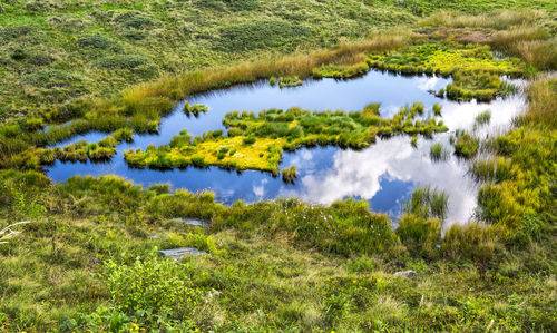 Scenic view of lake amidst field