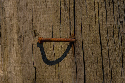 Close-up of old wooden door