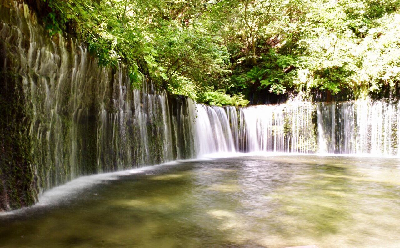 SCENIC VIEW OF WATERFALL