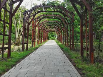 Empty footpath amidst trees in park