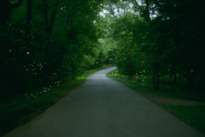 Road passing through forest