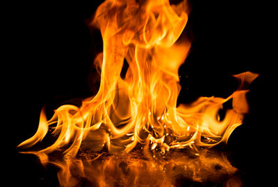 Close-up of bonfire at night