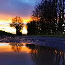 Bare trees by lake against sky during sunset