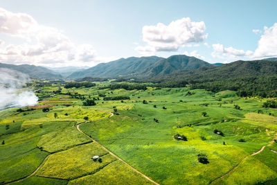 Scenic view of agricultural field against sky