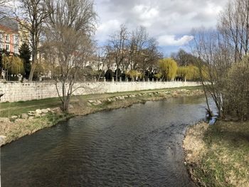 View of river along bare trees