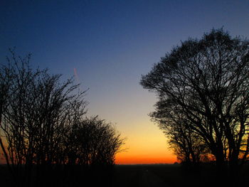 Silhouette trees against sky during sunset