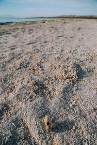 View of sandy beach