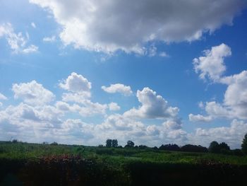 Scenic view of landscape against clear sky