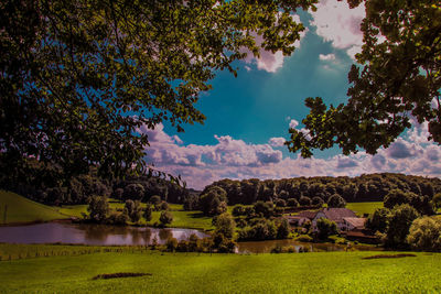 Trees on landscape against sky