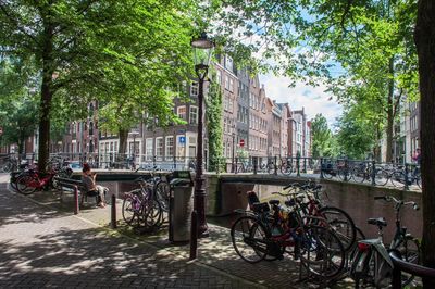 Parked cars in parking lot