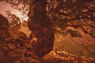 Rock formations in sunlight