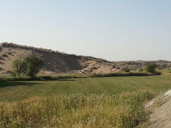 Scenic view of landscape against clear sky