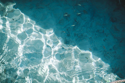 High angle view of swimming pool in sea