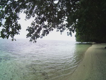 Scenic view of sea against clear sky