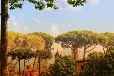 Panoramic view of trees and building against sky