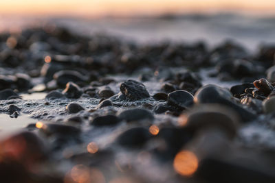 Close-up of pebbles on beach