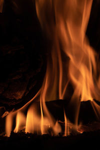 Close-up of bonfire at night