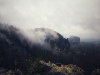 Trees on mountain against sky