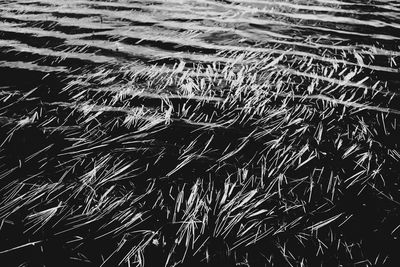 Full frame shot of beach