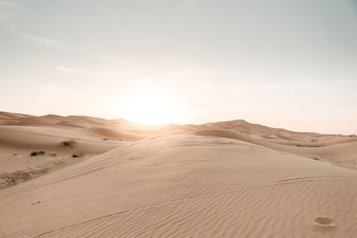 Beautiful sunrise in the desert. concept of nature