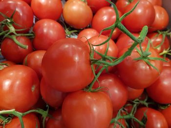 Full frame shot of tomatoes in market