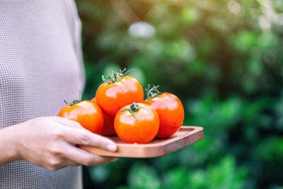 Close-up of hand holding tomato outdoors