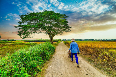 Rear view of man walking on field