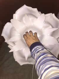 Close-up of hand holding white flowers