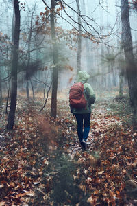 Woman with backpack wandering in a forest on autumn cold day. back view of middle age active woman