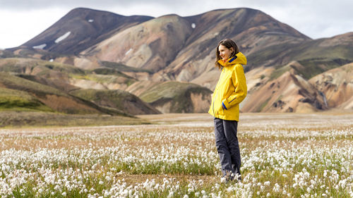 Sunny day exploring wild cottongrass fields in icelandic highlands