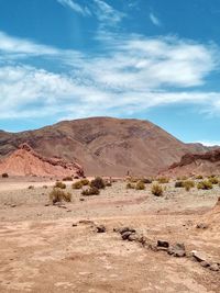 Scenic view of desert against sky