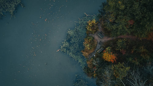 High angle view of plant on lake