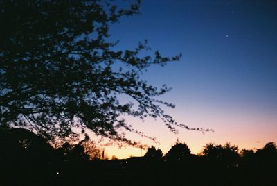 Low angle view of silhouette trees against sky at sunset