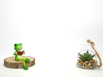 Close-up of fruits on table against white background