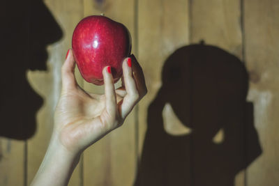 Midsection of woman holding apple